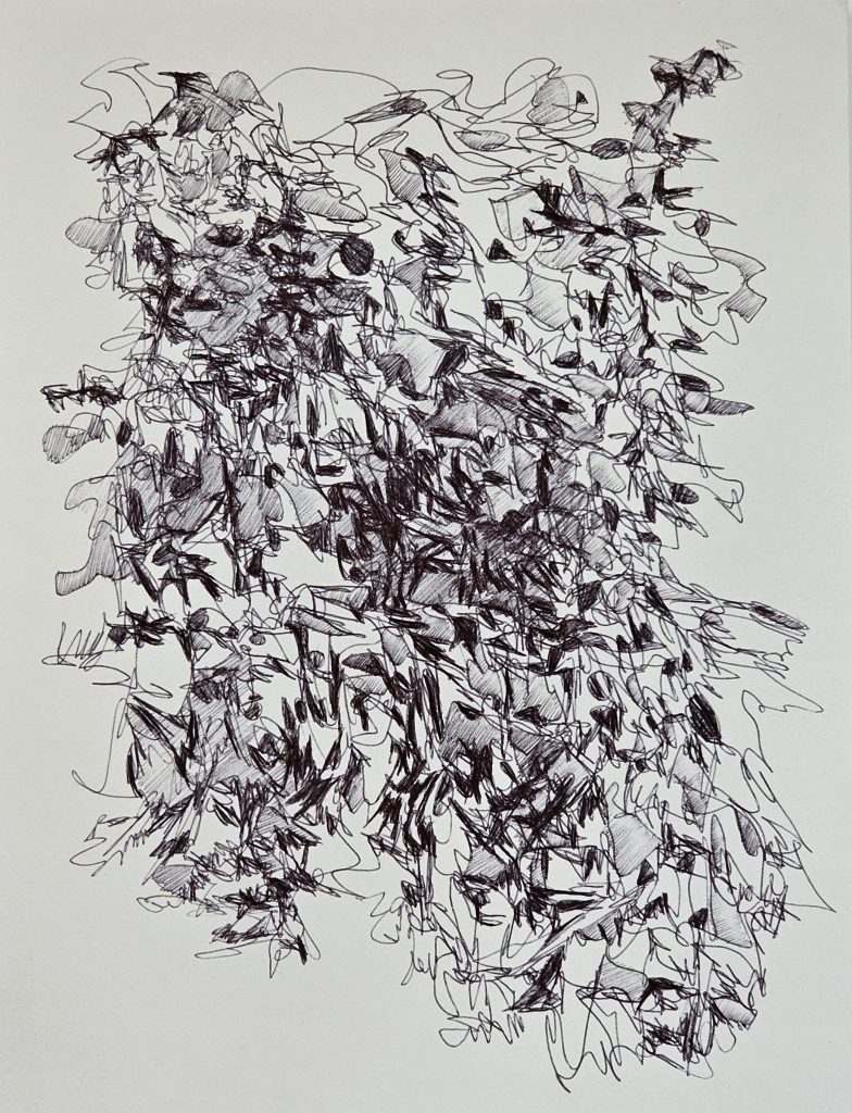 20240822_181321 (1)